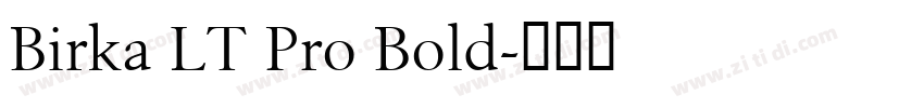 Birka LT Pro Bold字体转换